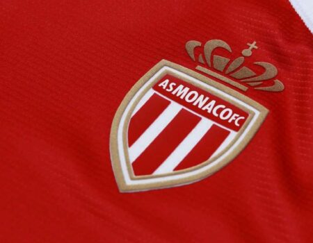 as monaco reseaux sociaux digital