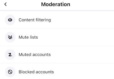 filtre moderation contenus bluesky