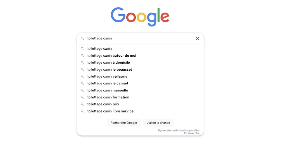 c'est quoi google suggest seo referencement